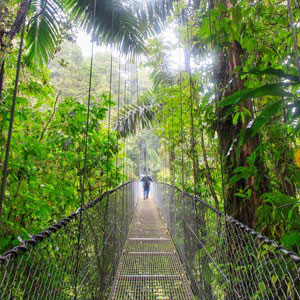 Cloud Forest in Costa Rica