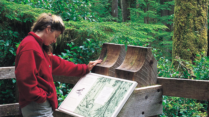 Great Bear Rainforest & Pacific Rim Park