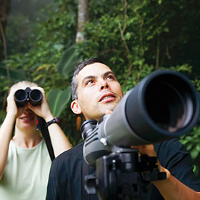 Costa Rica Birding Tours