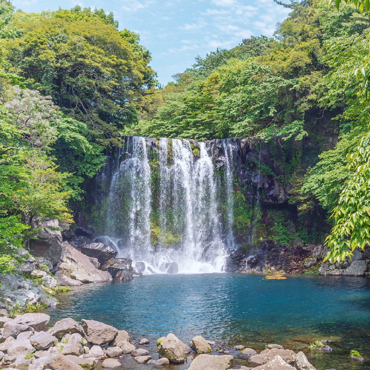 A picturesque waterfall surrounded by lush greenery and a pool of blue water