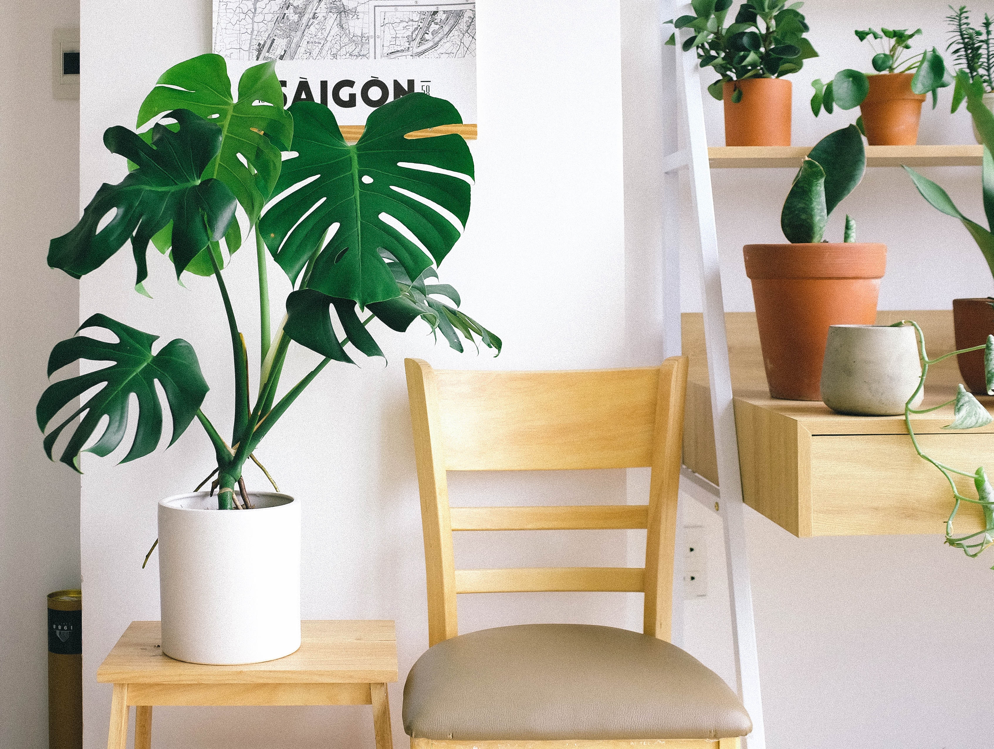 How to Decorate With Faux Plants - How to Mix Real and Faux Plants