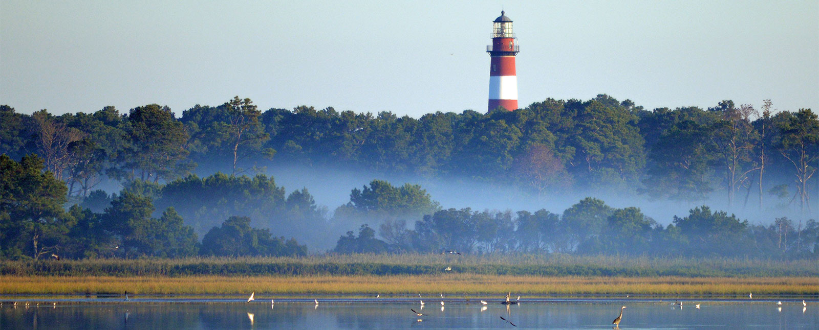 Chincoteague, Virginia