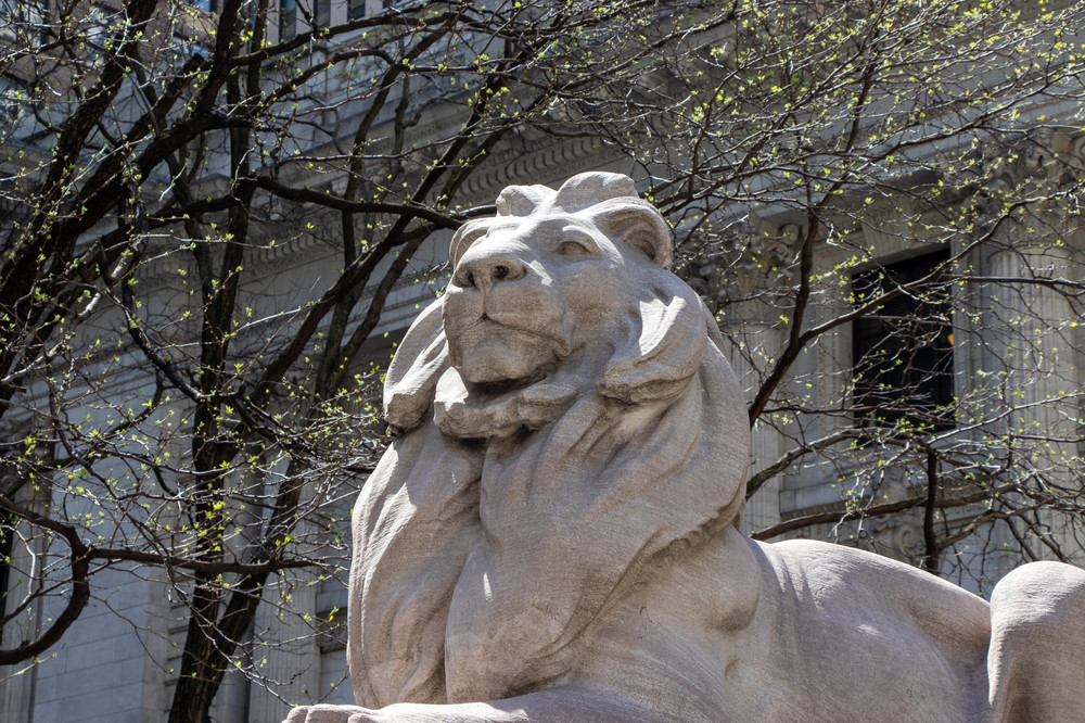 March comes in like a lion | Market Pulse