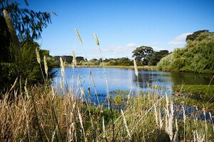 Minta Estate, Berwick