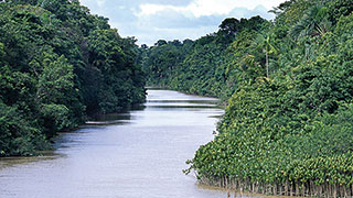 21982-heart-of-amazon-rainforest-riverboat-smhoz.jpg