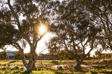 Armstrong Estate, Mt Duneed