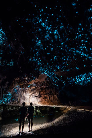 Waitomo Caves, New Zealand