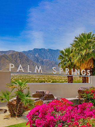21382-palm-springs-california-vert.jpg