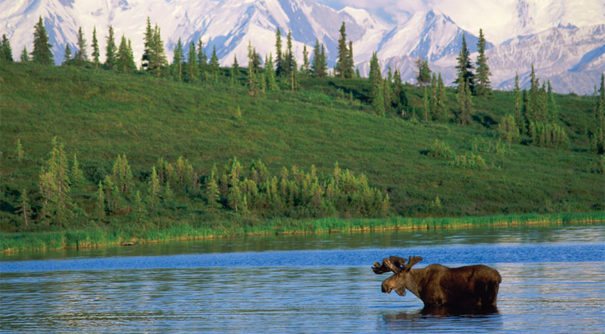 National Parks