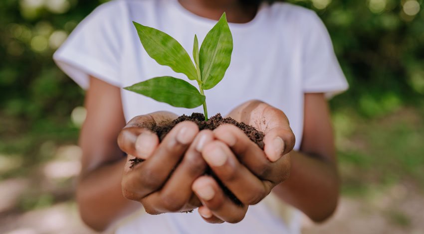 Holding a plant in hands