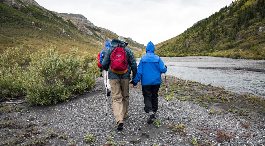 Denali national park