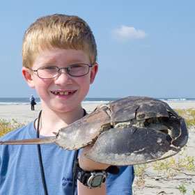 Wallops Island, Virginia