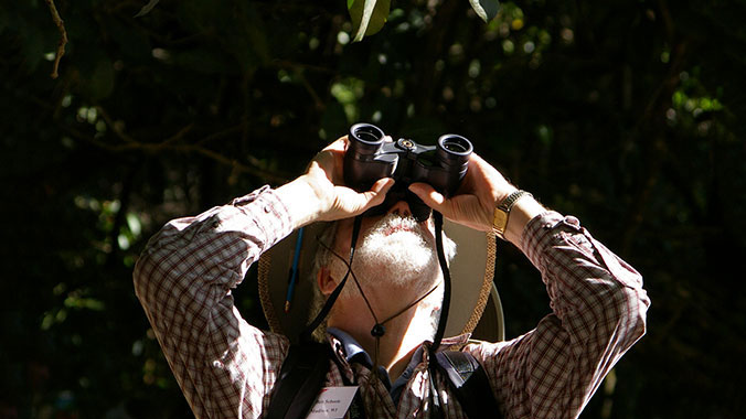 Birding tours in Mexico