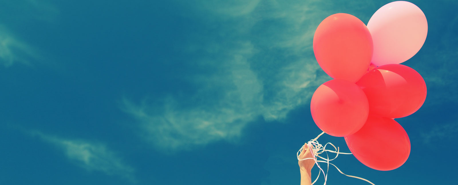 Celebrate your love of learning and adventure