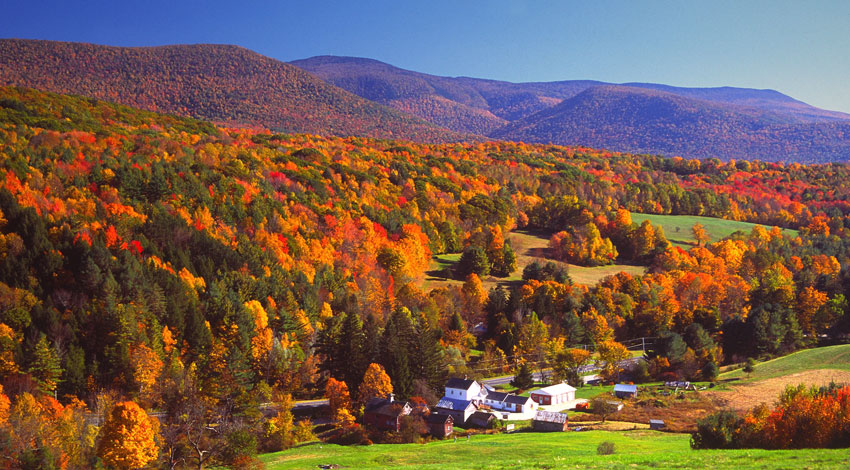 Fall Foliage in New England