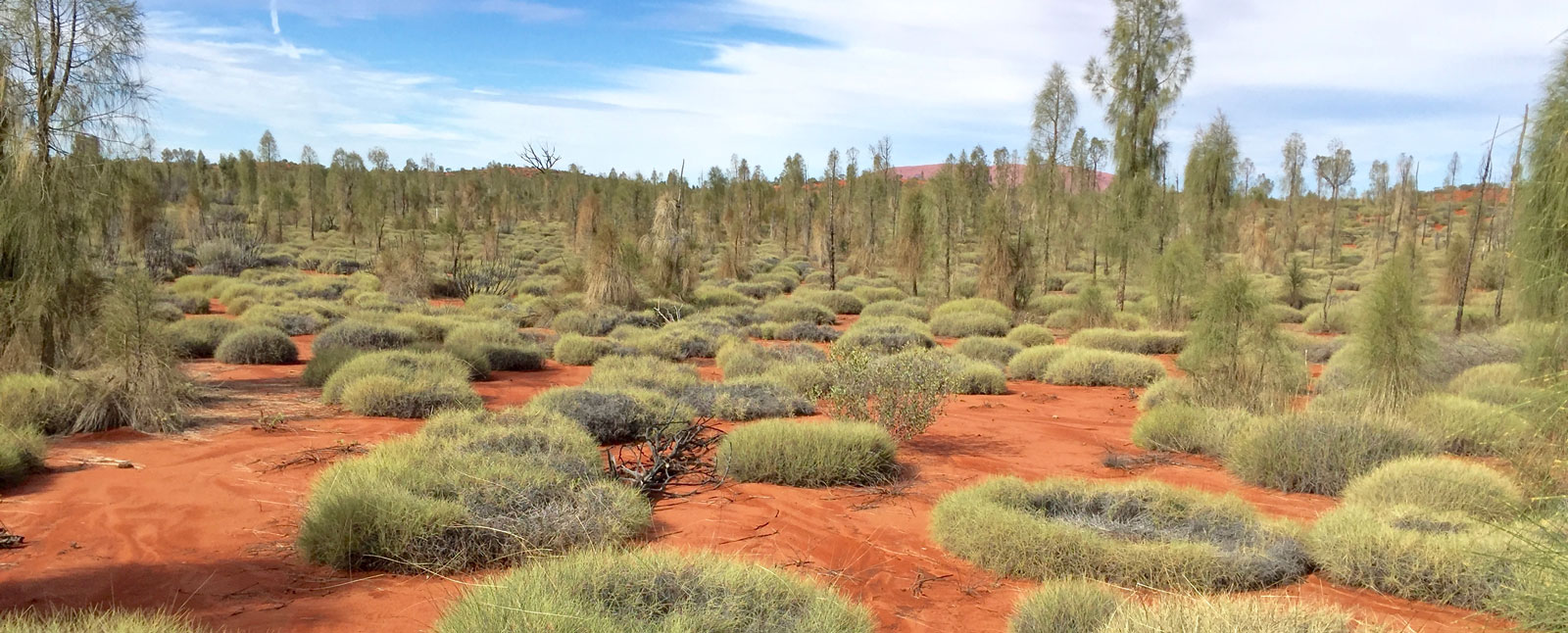 Kata-Tjuta National Park, Uluru, Australia