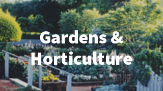  Gardens and Horticulture
