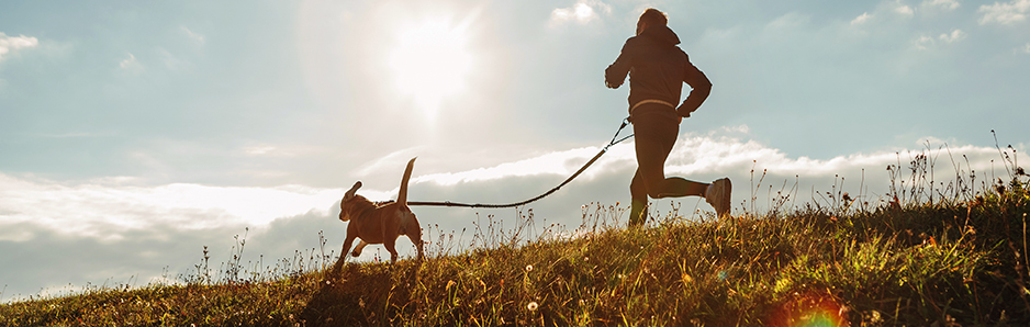 runningdogs3.jpg