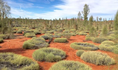 Kata-Tjuta National Park, Uluru, Australia