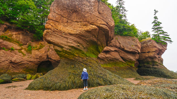 All-inclusive trips to New Brunswick