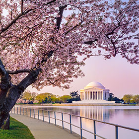 Washington, DC