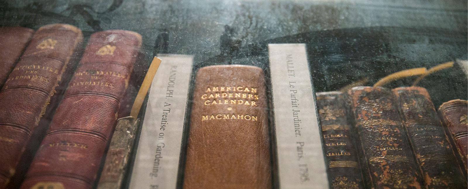 Library of Congress books